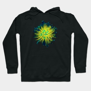 Starlight Torch Coral Hoodie